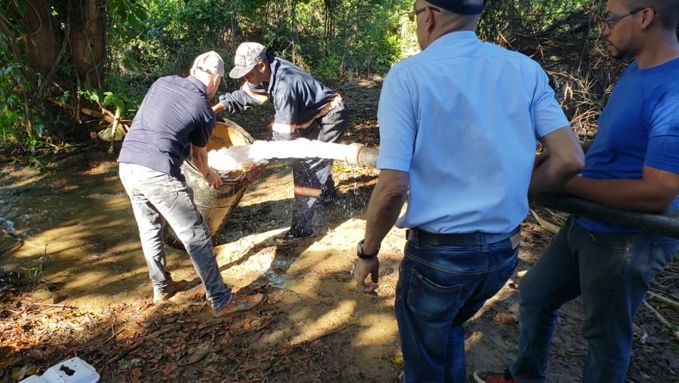Aforos y Pruebas de Bombeo 2