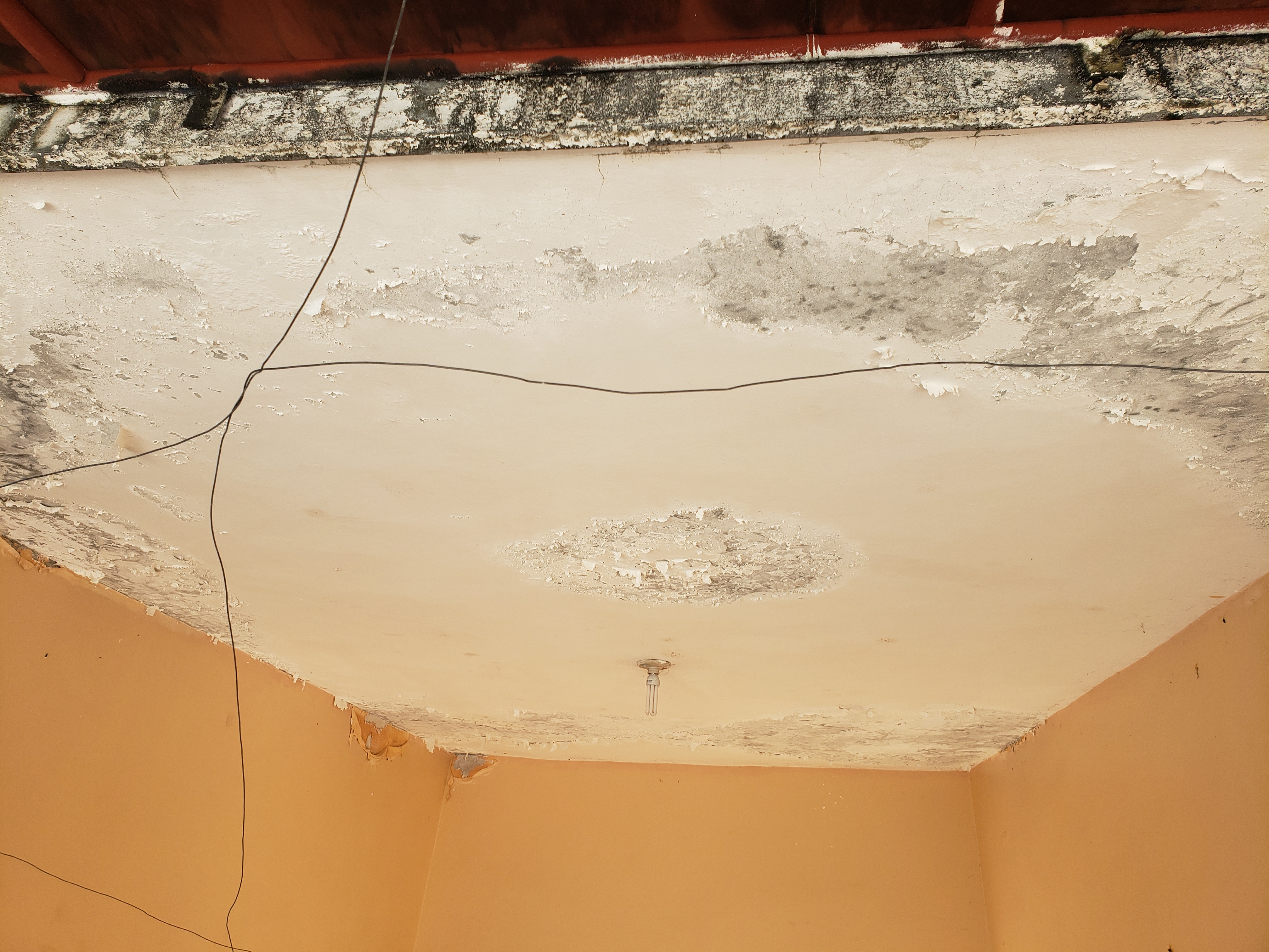 Construcción de Muros Perimetrales 4